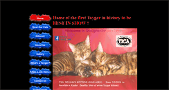 Desktop Screenshot of designerstripestoygers.com