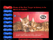 Tablet Screenshot of designerstripestoygers.com